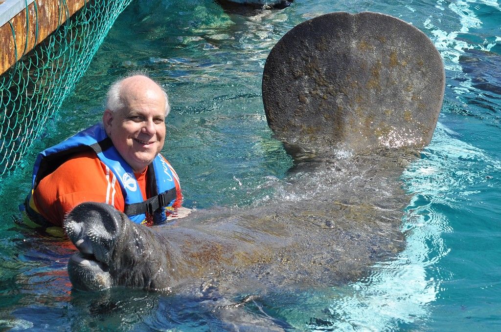 Dolphin Push, Pull and Swim, Manatee Interaction at Chankanaab